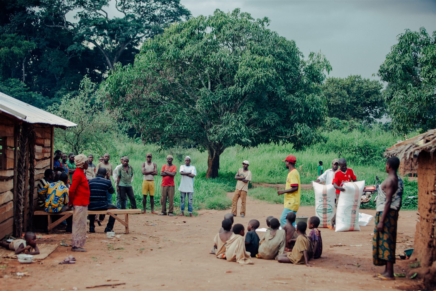 People gathered outside beneath trees