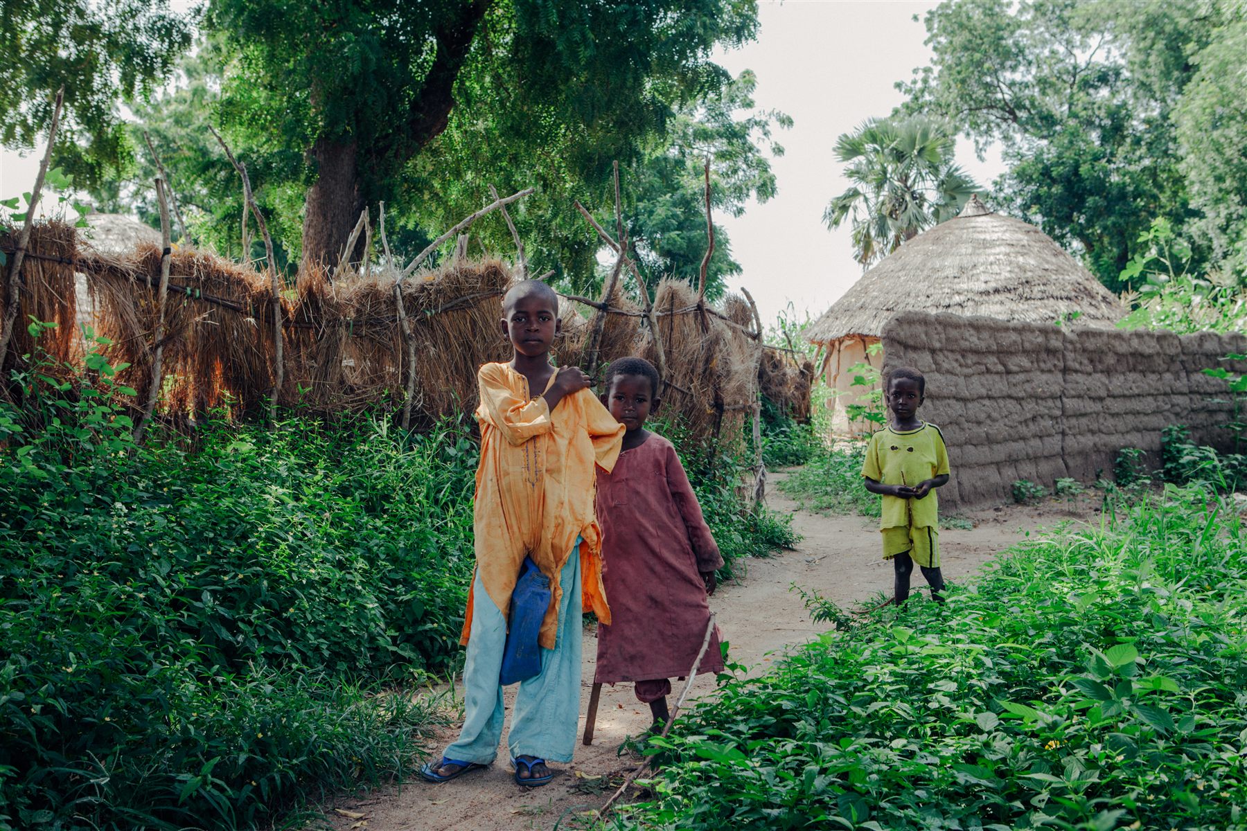 People walking on a road beside greenery