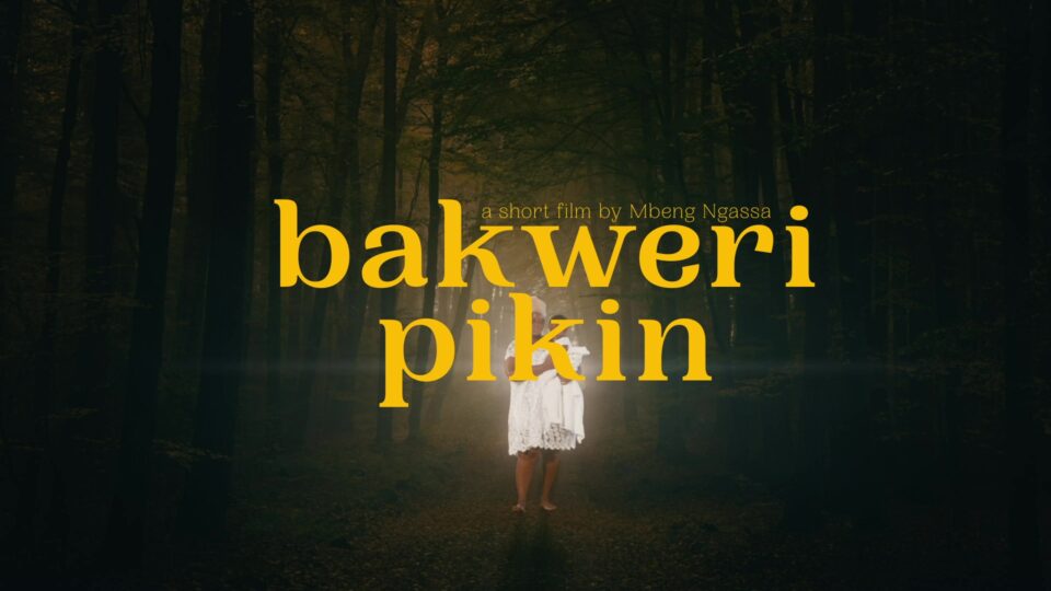 Image Not Found On Media Library