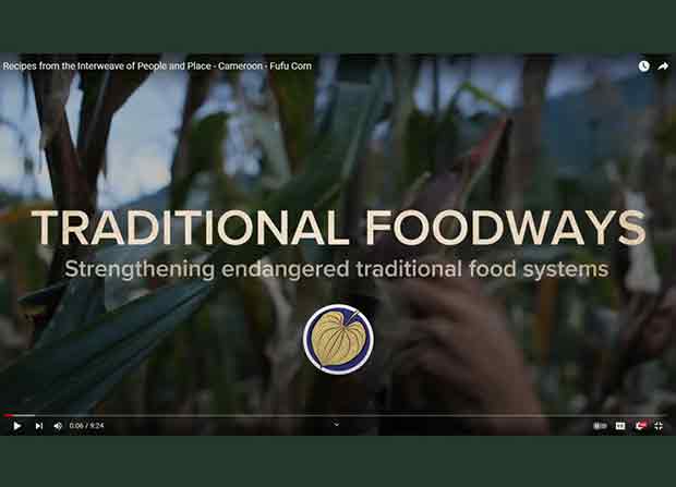 Image Not Found On Media Library