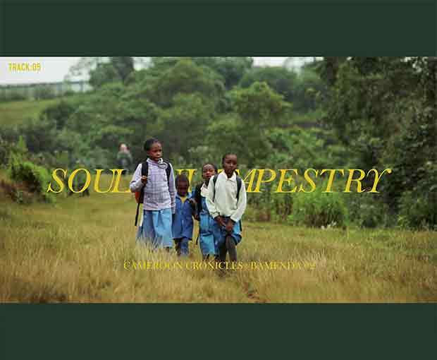 Image Not Found On Media Library